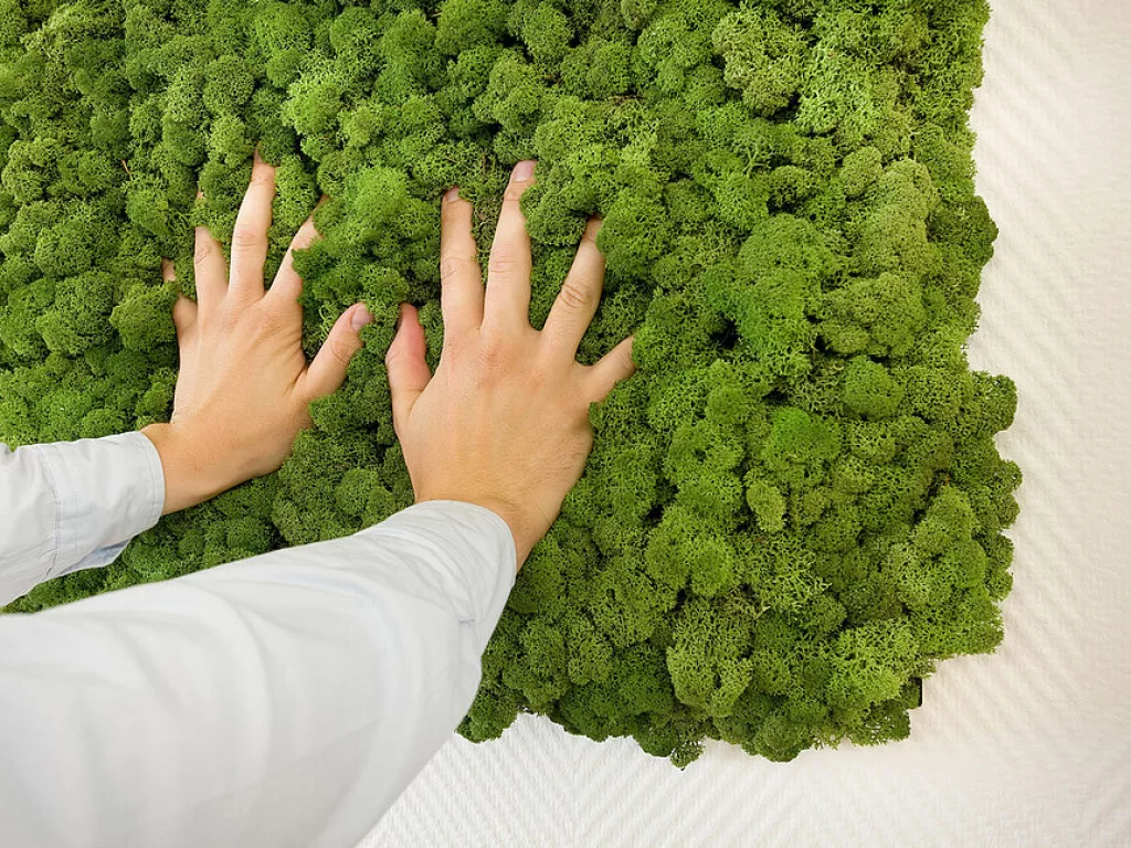 PREMIUM YOSUN DUVARLARI